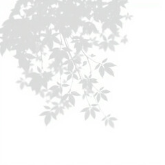shadow overlay effect. Gray shadow of leaves isolated on white background. 
Plant foliage leaf shadow light effect. Mockup Blurred tree branch shadow. Ideal for summer spring design elements PNG