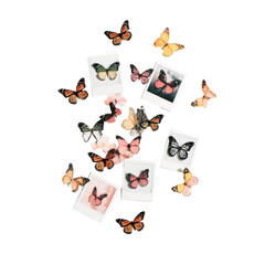 Fototapeta premium Pastel butterflies and instant photos