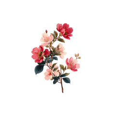 Fototapeta premium Floral bouquet, delicate blooms