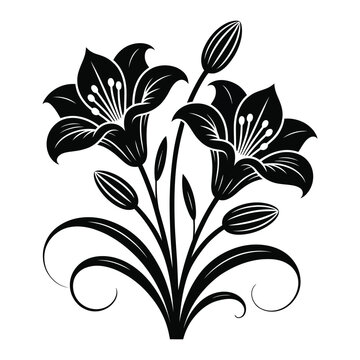 Elegant black and white floral illustration of lily flowers and buds