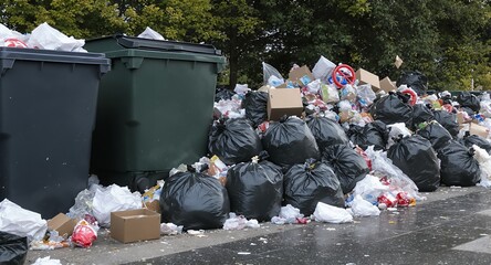 Overflowing Garbage Bins and Waste Bags A Public Health Concern