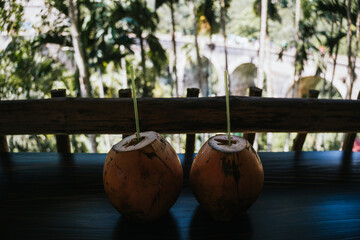 Two refreshing coconut drinks are served on a table with a picturesque view of the Nine Arch Bridge...