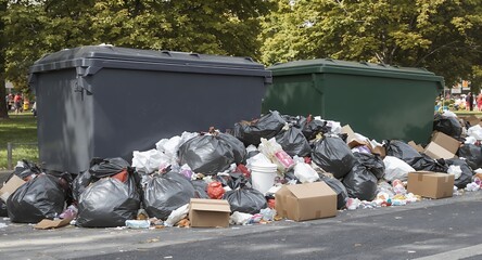 Overflowing Trash Bins and Garbage Bags Waste Management Issue