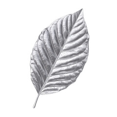 Silver metallic silver leaf isolated on transparent background isolated on a transparent background