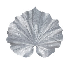 Silver metallic, a detailed, textured leaf pattern isolated on a transparent background isolated on a transparent background