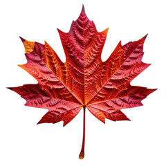 Vibrant red and orange autumn maple leaf with detailed veins and natural texture on a white background, symbolizing fall season and seasonal changes
