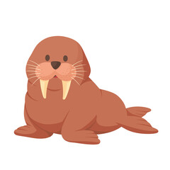 Cute Cartoon Walrus Illustration