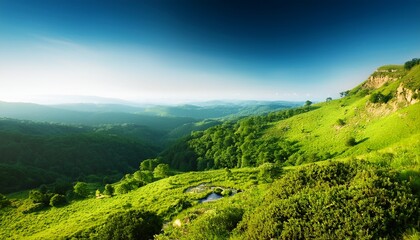 Obraz premium pristine nature flat lay wide angle landscape photography bold high contrast copy space