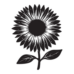 Fototapeta premium Black sunflower with leaves and stem white petals