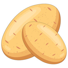 Vector illustration of two fresh, whole, raw potatoes, isolated on a white background.