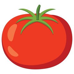 Fresh red tomato isolated on a white background.