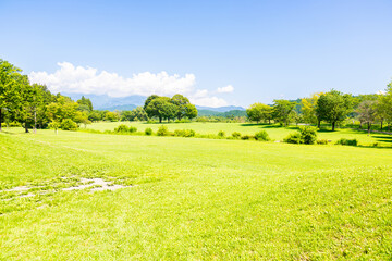 夏の日光だいや川公園