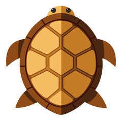 a turtle viewed from above no background vector file.