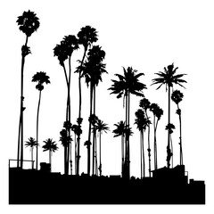 palm trees silhouettes in sky vector