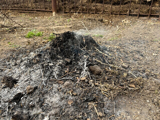 Cleaning up old grass and garbage.Burnt grass.