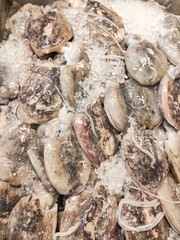 Top-angle shot of fresh cuttlefish at the fish market. Cuttlefish are placed on ice to maintain freshness in the supermarket. Food ingredients background. Negative space.
