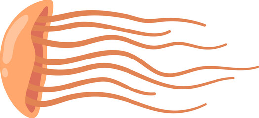 Sea Animal Illustration