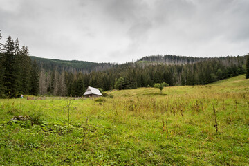 Widok na Polanę Olczyska, Tatry 