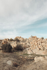 Desert Landscape