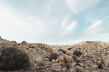 Desert Landscape