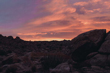 Desert Landscape