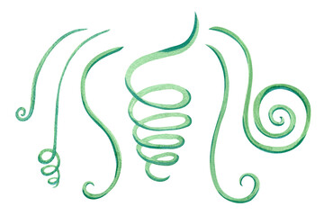 Green tendril of a plant, curl, shoot, branch, blade of grass. Watercolor botanical illustration, floral branch. Set of isolated objects. Abstract fantasy art element for design floral composition
