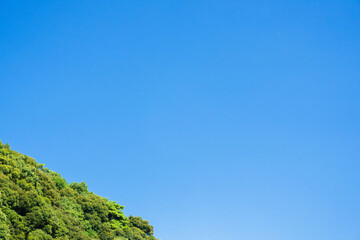 夏の風景　青空と山の木々08