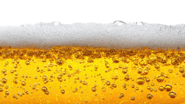 Close-up of beer head and frothy top