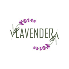 Obraz premium Lavender Logo, Simple Elegant Purple Flower Plant Vector, Greeting Card Design, Banner, Flower Ornament, Lavender Hand Drawn Wedding, Icon Symbol Illustration