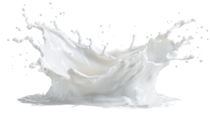 Milk splash, a dynamic white liquid spray