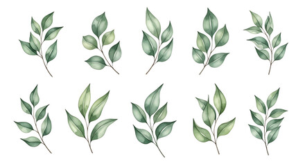 Green Leaf, White, Blue, Red colourful flowers decoration for birthday Marriage , Floral Elements transparent Background