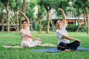 Two women practice yoga in a lush green park stretching and meditating amidst nature's beauty