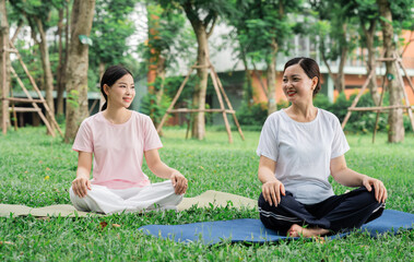 Two women practice yoga outdoors in a peaceful grassy park connecting with nature and well-being