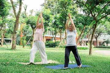 Two women doing yoga in a park serene atmosphere wellness and health in nature