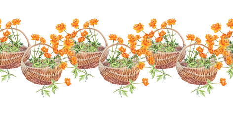 Watercolor seamless border with frying flowers Trollius in wicker basket on white background. Orange summer wildflower. Herbs for aromatherapy and bouquet. Botanical rim for wallpaper or wrapping