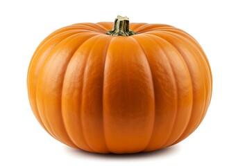 Obraz premium Autumn's Embrace