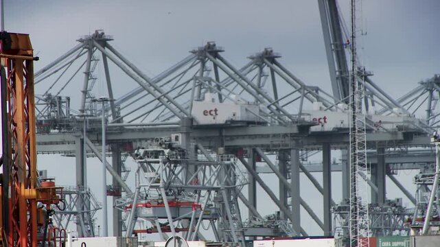 Cranes at Rotterdam port showcasing industrial activity