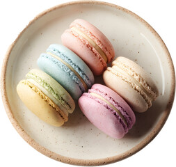 파스텔 마카롱 5종 세트 접시