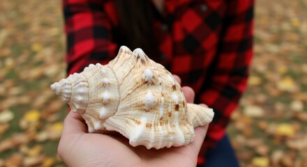 A person wearing a plaid shirt holds a large seashell in their hand with fallen autumn leaves in the background