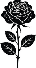 Black rose with leaves flower bloom