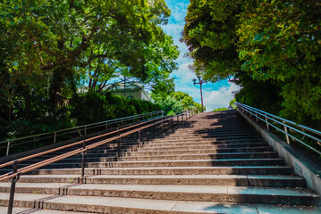 The view of Ueno Park in Tokyo