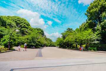 The view of Ueno Park in Tokyo