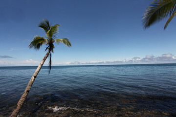 Isla Gorgona Colombia