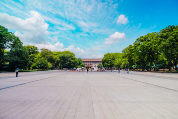 The view of Ueno Park in Tokyo