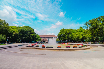 The view of Ueno Park in Tokyo