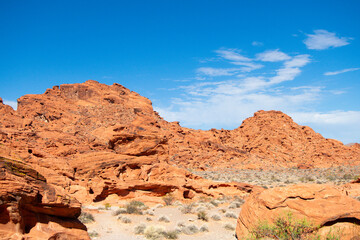 Fototapeta premium Mojave Desert Valley Of Fire