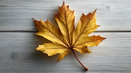 Obraz premium Golden maple leaf rests on weathered wooden surface