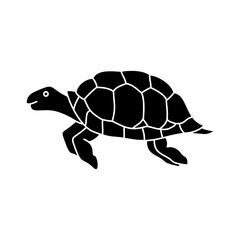 Turtle Icon Vector