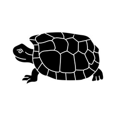 Tortoise Icon Vector