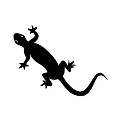 lizard icon vector